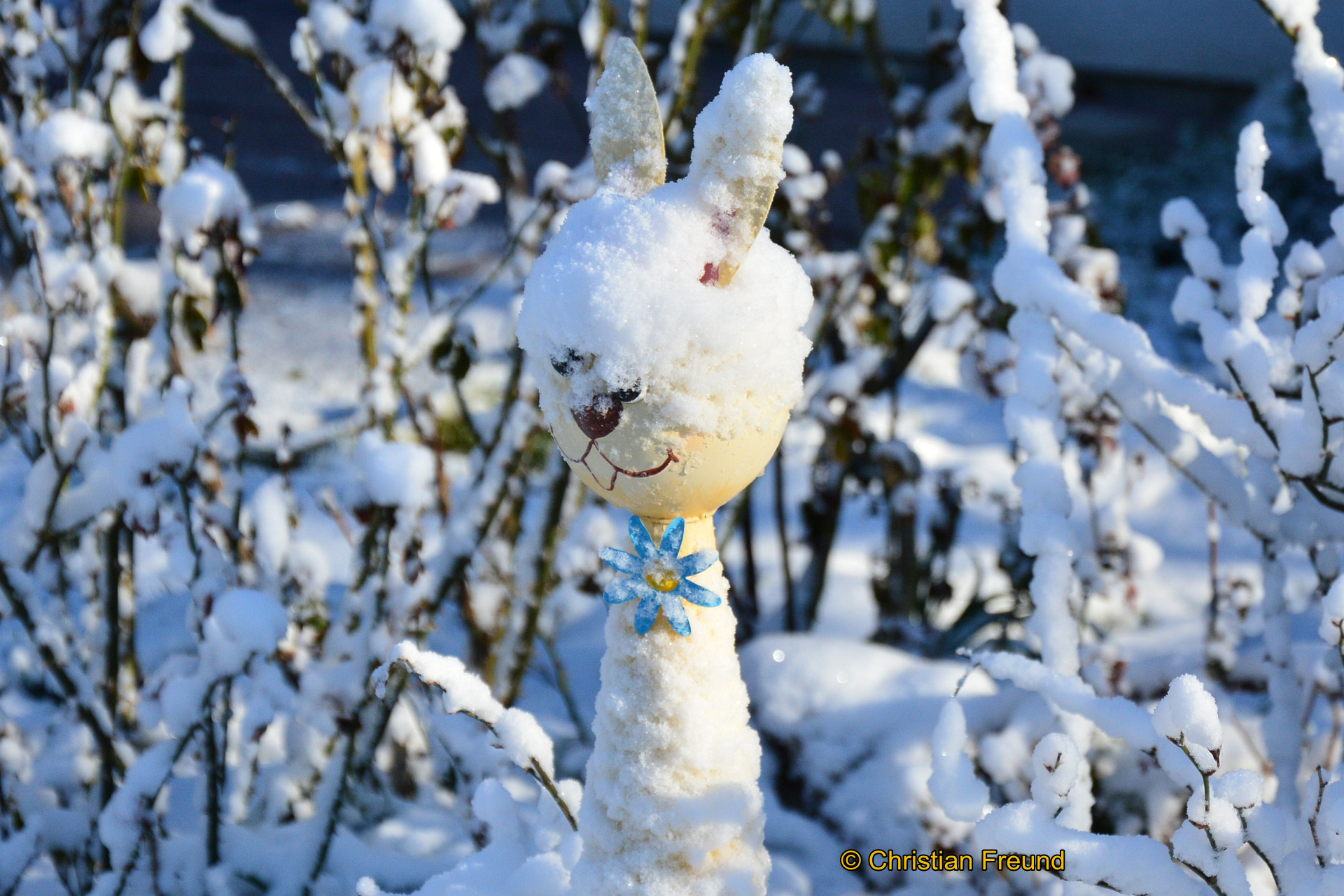 Mit Kälteeinbruch samt Schnee überraschte das Wetter auch die Obergrochlitzer Ende März.