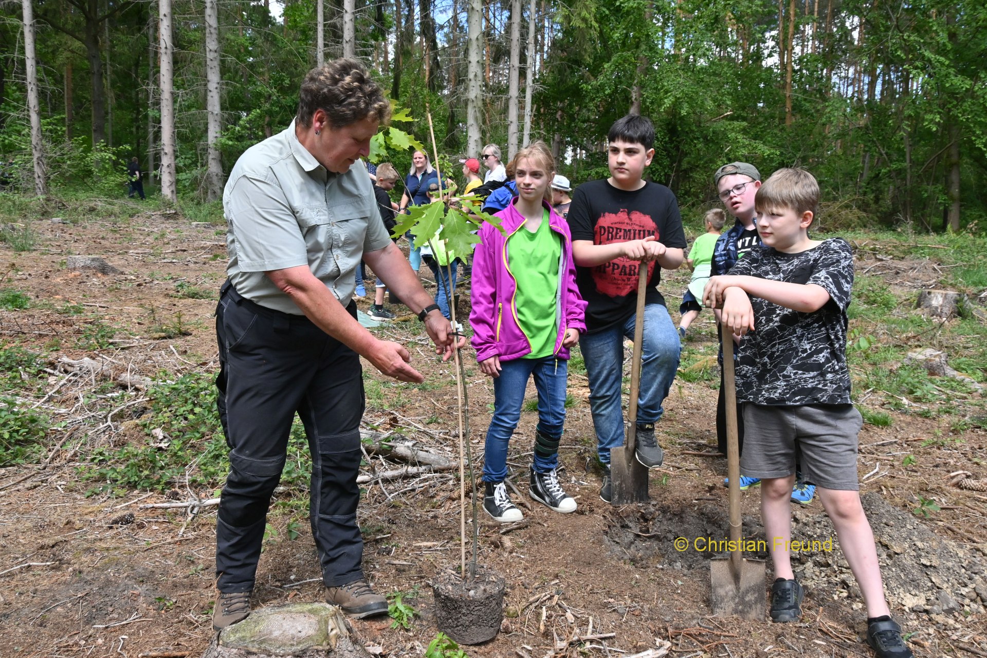 Carolinenschüler pflanzen Bäume im Obergrochlitzer Wald