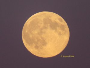 Himmelsspektakel mit Supermond am 05.11.2025