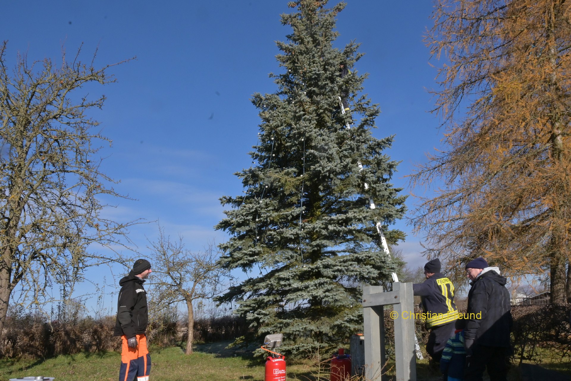 Weihnachtsbeleuchtung an der großen Fichte am Saumarkt